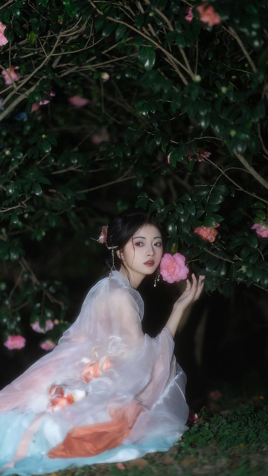 山茶花终究会凋谢,好似一场盛开的梦