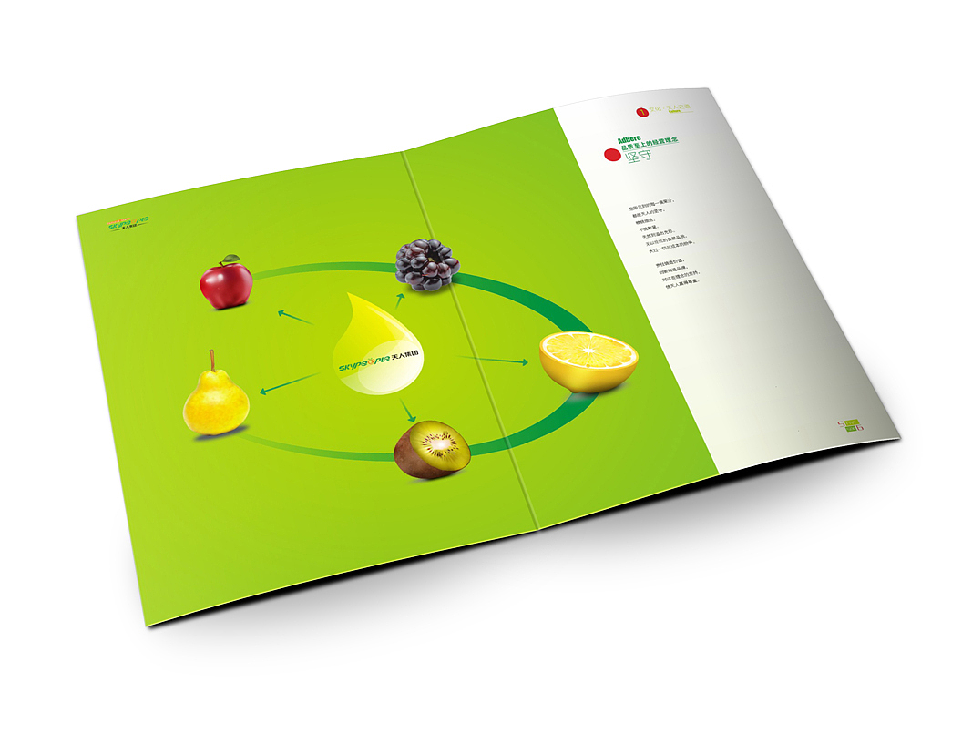 天人果汁集团画册