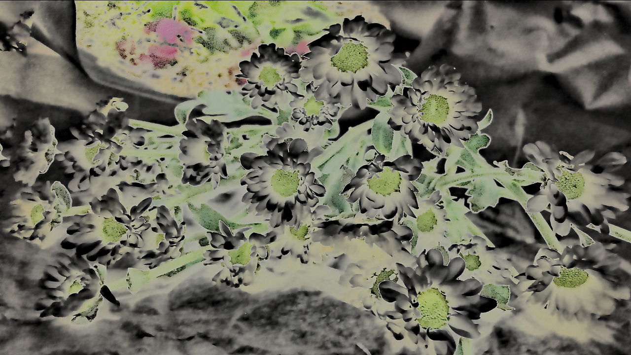 阿姨我就是个画家