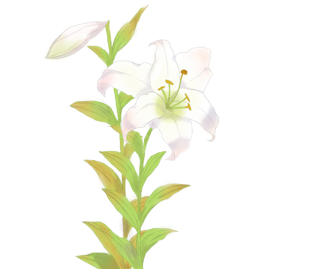 绘画练习（图ZMTgwMzQyMTI4） - 艺术插画 - 站酷设计师Yoki0717原创素材 - 站酷ZCOOL