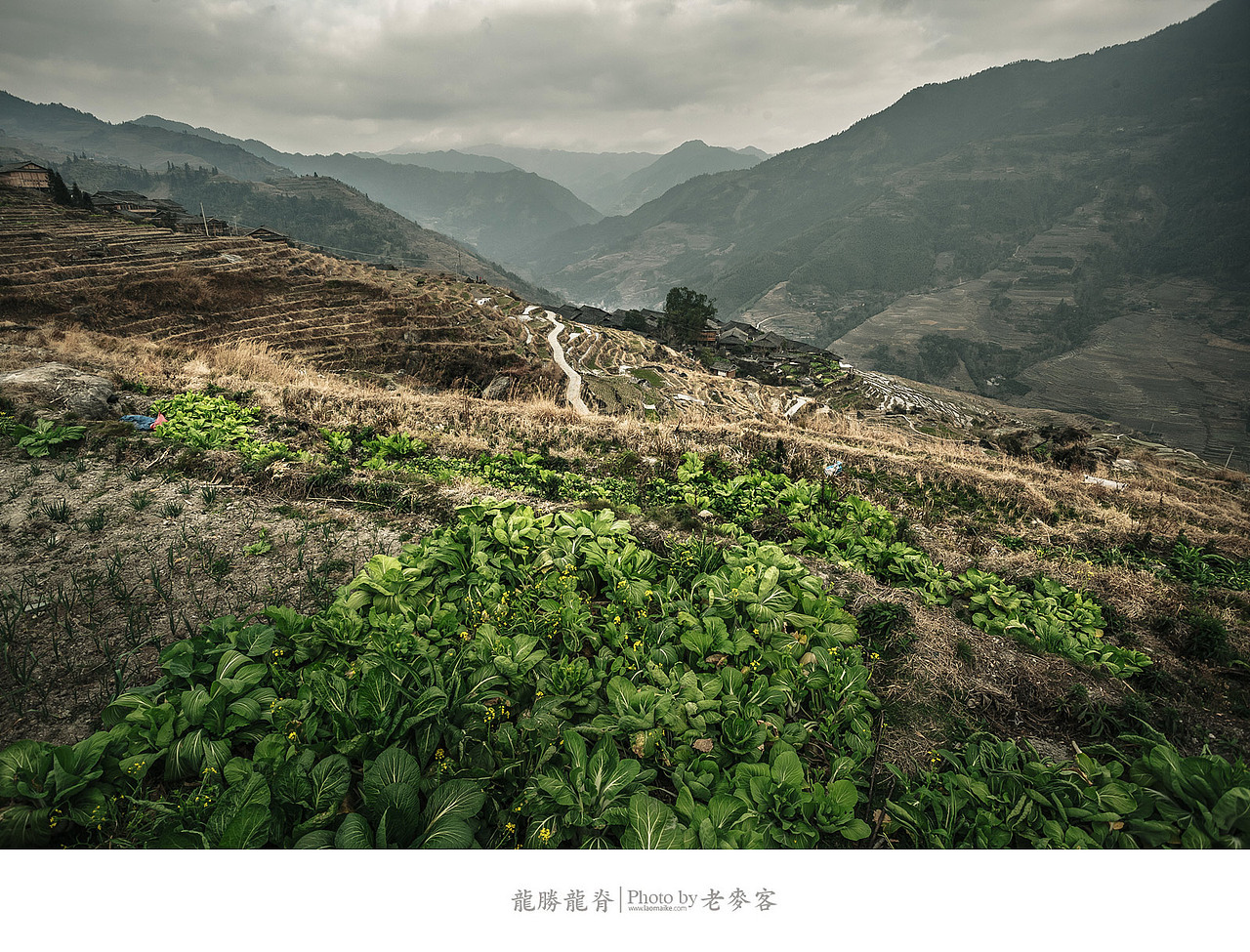 冬日里的龙脊古壮寨梯田（图ZMTQwMjM2ODQ=） - 风光摄影 - 站酷设计师laomaike原创素材 - 站酷ZCOOL