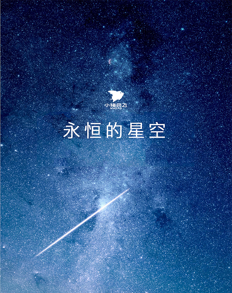 最贵的加湿器 价值35万 钻石打造 品牌:小猪会飞