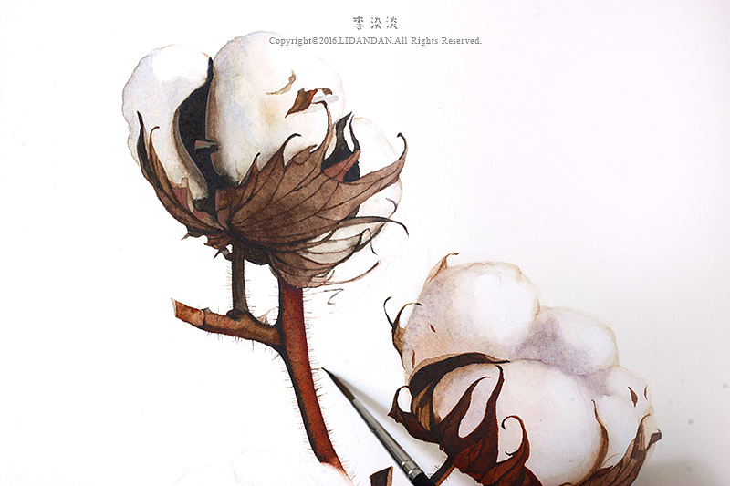 如植物般自由生长（图ZNzk0NTkxNDQ=） - 绘画 - 站酷设计师李淡淡DAN原创素材 - 站酷ZCOOL