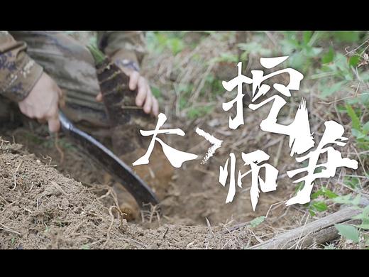 挖笋大师