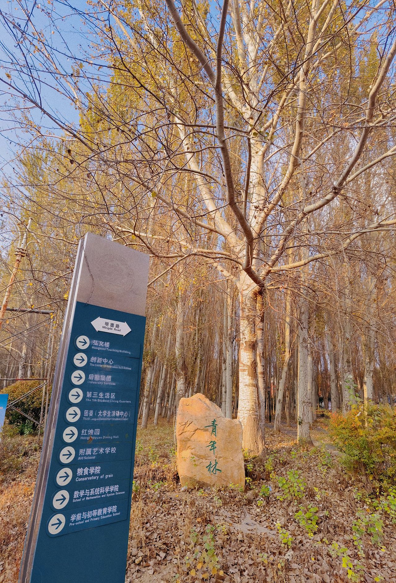 沈阳师范大学(2)风景没放全看主页上篇