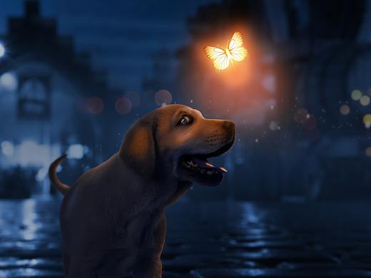 跟着秋水大神撸了个二狗子。（个人主页-ZMzAxNDk2NzY=） - 海报 - 站酷设计师余设小白原创素材 - 站酷ZCOOL