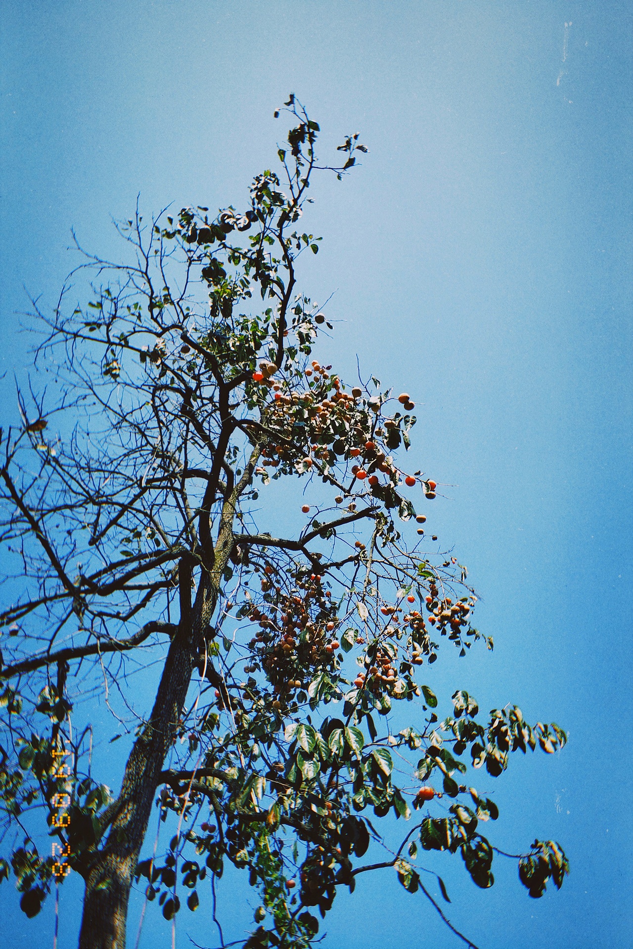 砚山 窑上村 随拍