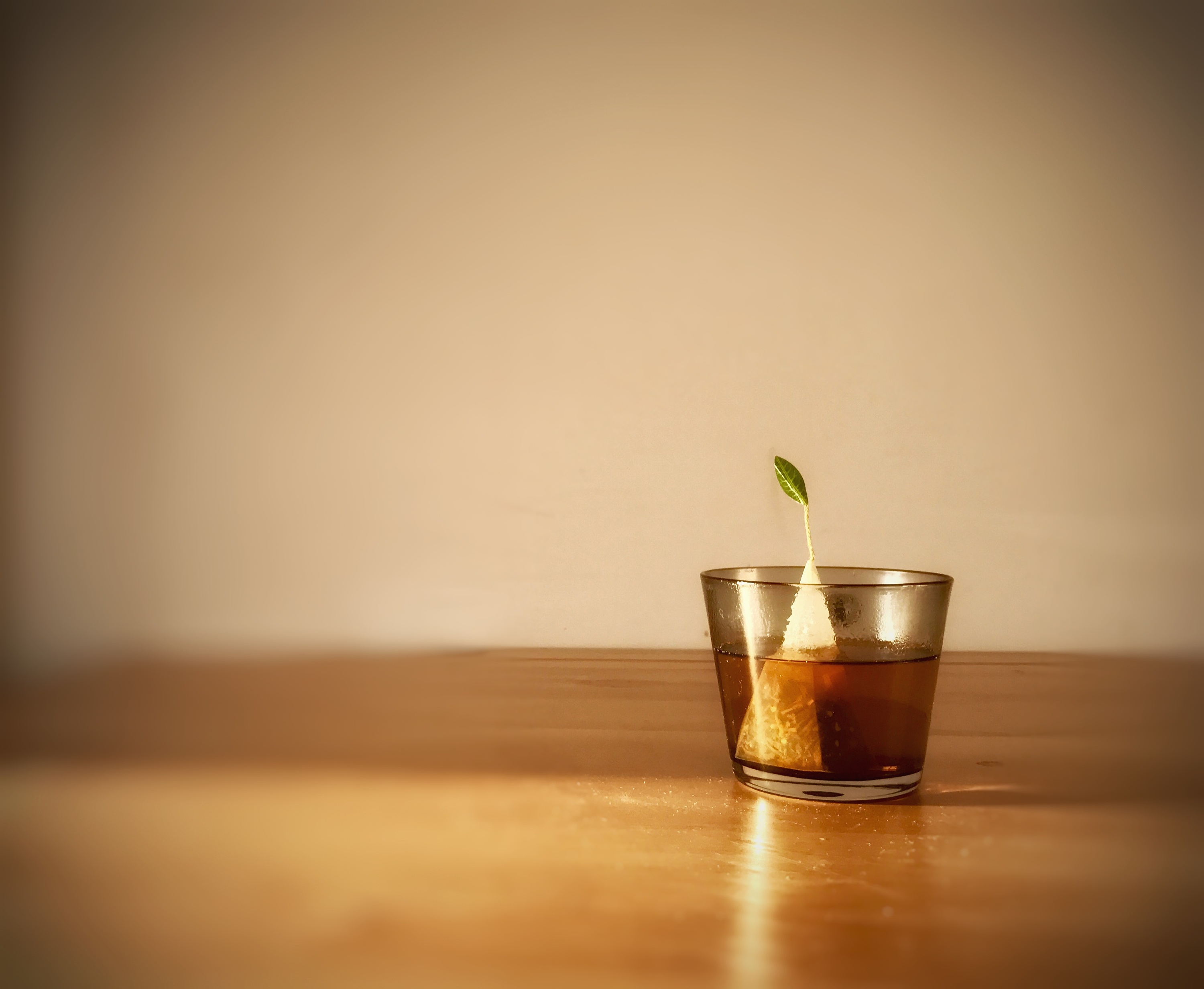 晨光中的一杯茶