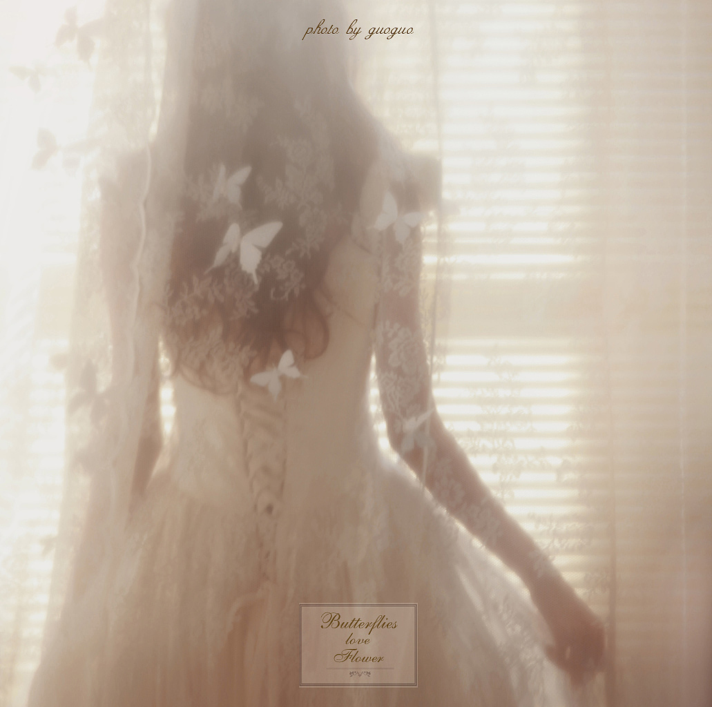 butterflies love flower(Flower LadyⅢ)