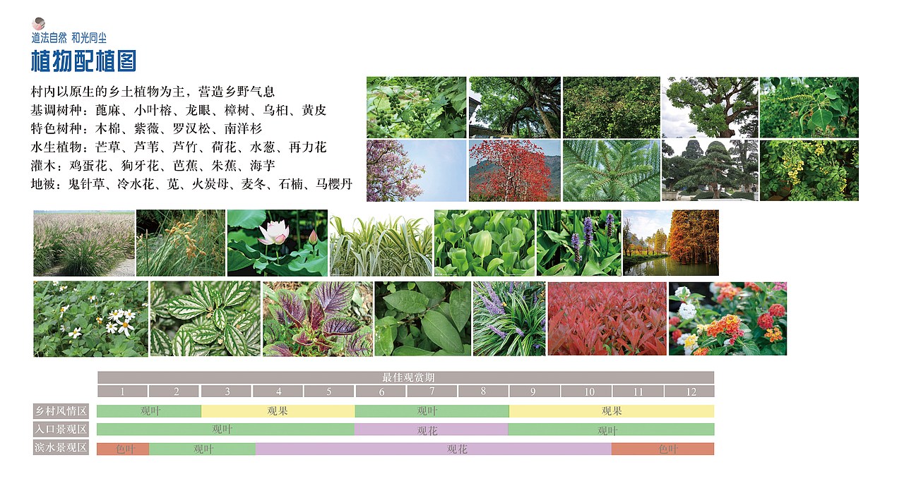 毕设——蚬岗八卦新村景观改造设计（图ZMTE2MTEwMzcy） - 建筑/空间 - 站酷设计师肥大豆原创素材 - 站酷ZCOOL