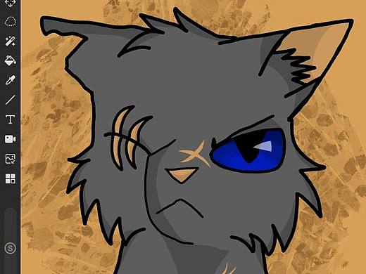 猫武士插画