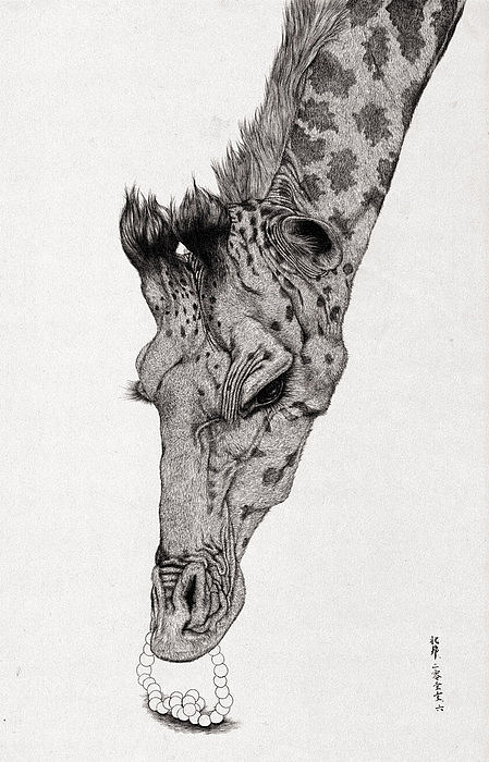 《漂流动物园》全系列作品(图ZMTY5MTQ4Njg=) - 艺术插画 - 站酷设计师北邦原创素材 - 站酷ZCOOL