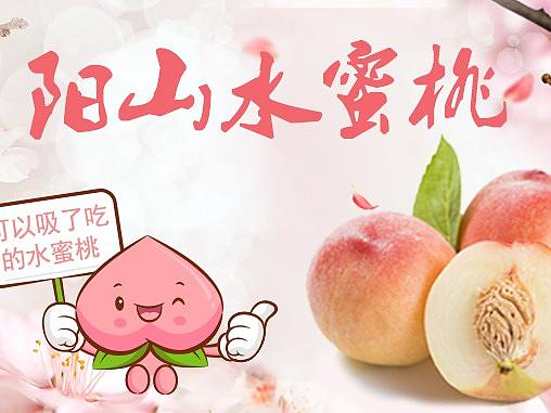 banner（個(gè)人主頁-ZMzcwNTE5MDA=） - 宣傳物料 - 站酷設(shè)計(jì)師丸子嚶嚶原創(chuàng)素材 - 站酷ZCOOL