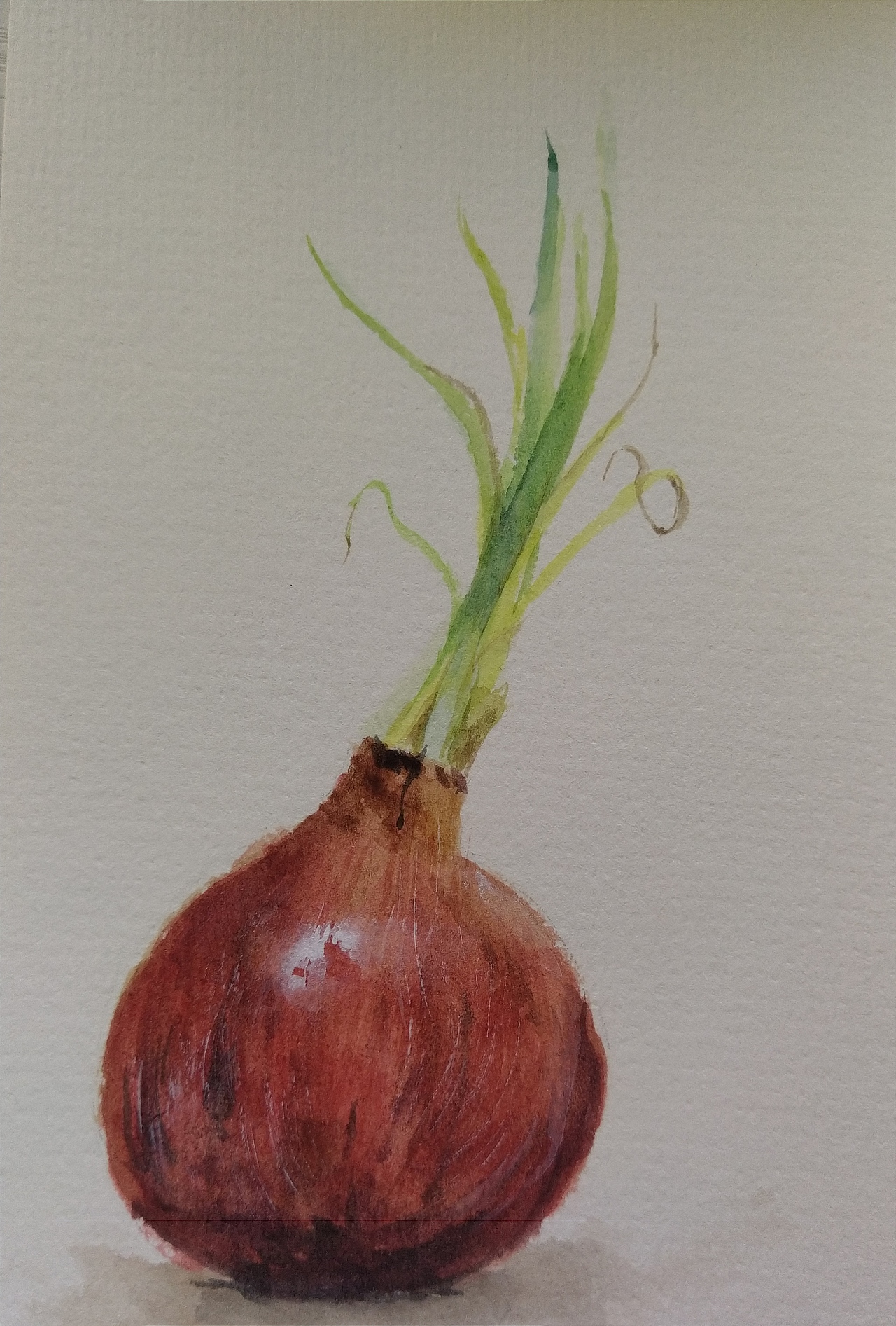 水彩蔬菜（图ZMjc4OTI1NTgw） - 绘画 - 站酷设计师胖女侠原创素材 - 站酷ZCOOL