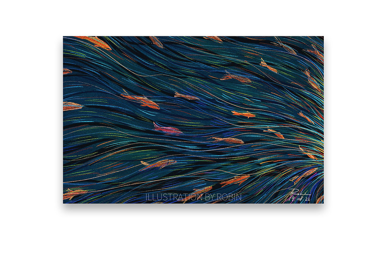 《鱼儿游向何方》