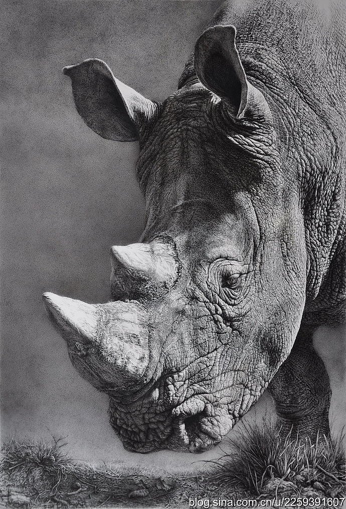 我的部分钢笔画作品，与朋友们交流。（图ZNTk1ODEyOTY=） - 绘画 - 站酷设计师海哥艺绽原创素材 - 站酷ZCOOL