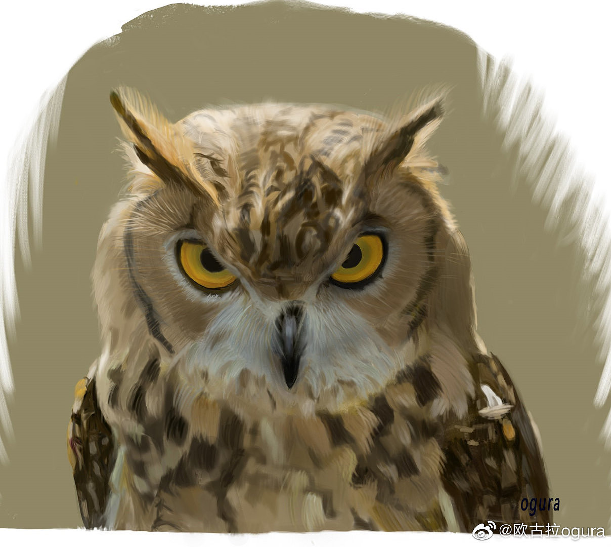 厚涂猫头鹰|插画|创作习作|欧古拉 - 临摹作品 - 站酷 (zcool)