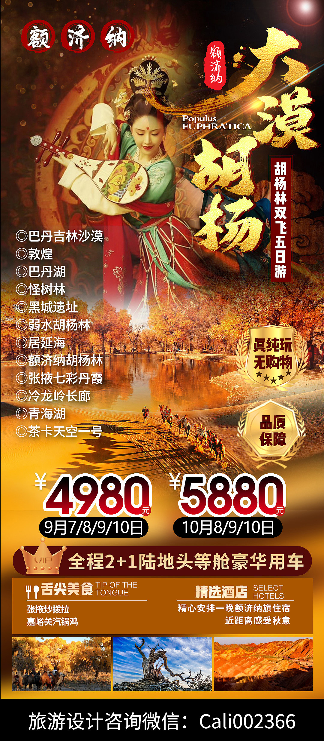 旅游海报设计 额济纳 胡杨林 大漠 秋天（图ZMjcxNjgxNjQ0） - 海报 - 站酷设计师火苗设计原创素材 - 站酷ZCOOL