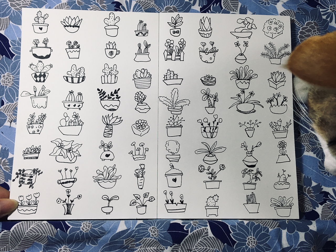 线条（图ZMTM5MjE0ODk2） - 创作习作 - 站酷设计师小仙哥KUNZi原创素材 - 站酷ZCOOL