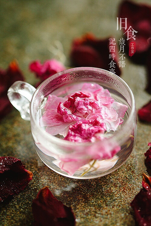 一组花朵（图ZMjU0MDQ5ODA0） - 其他摄影 - 站酷设计师旧食原创素材 - 站酷ZCOOL