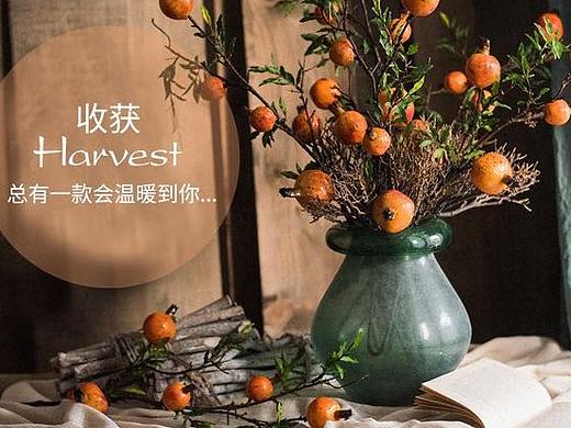 拘涵首页