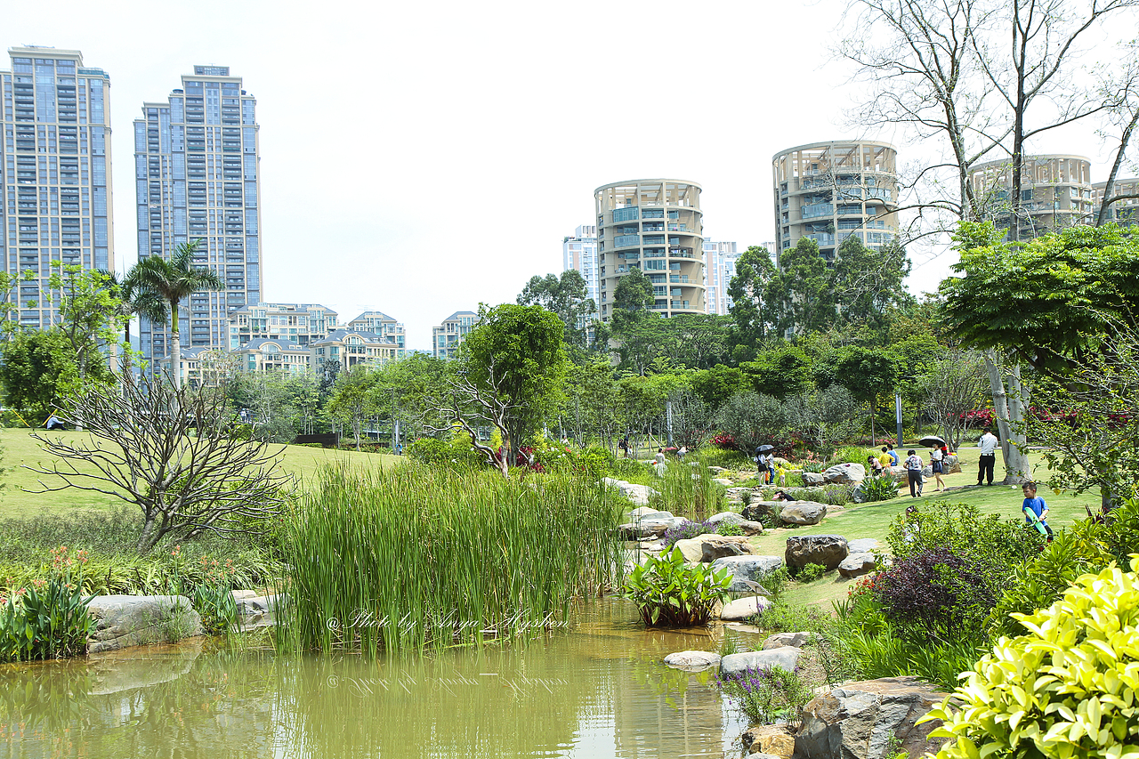 深圳香蜜公园