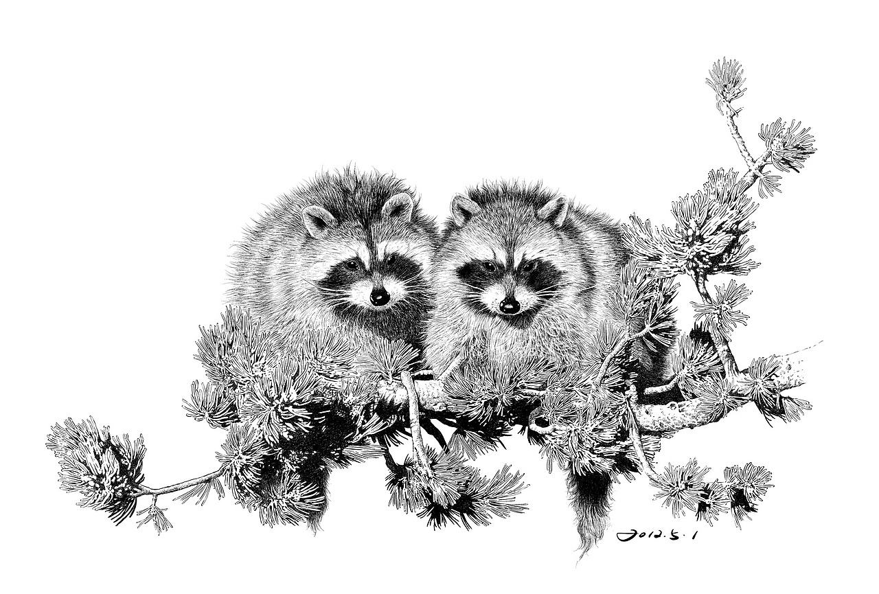 楚歌钢笔画动物系列