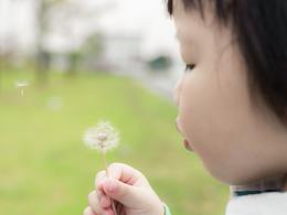 喜欢蒲公英的小女孩