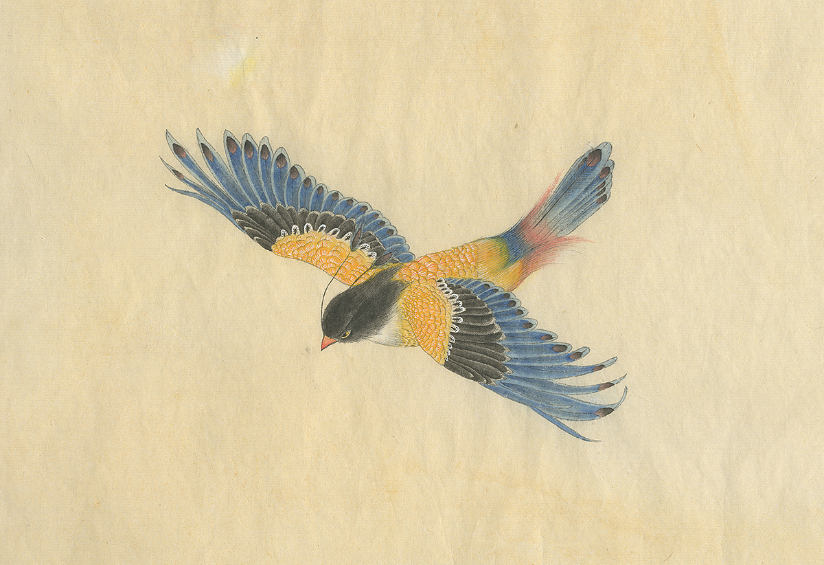 （by 老三）派格元年（2011-2012）（圖ZMzk0MTYzMzY=） - 藝術插畫 - 站酷設計師老三叁原創(chuàng)素材 - 站酷ZCOOL