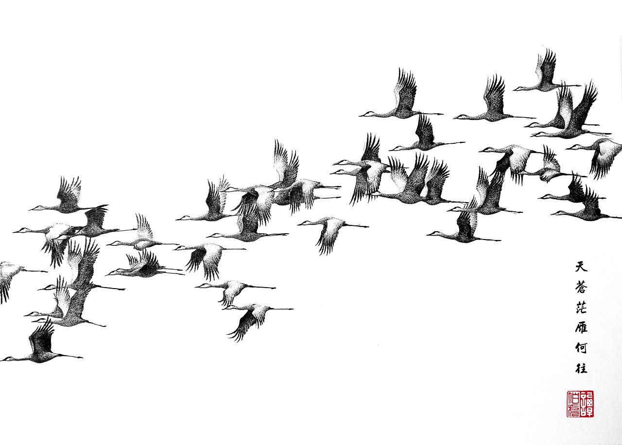 谭伯虎钢笔画作品《鸿雁》 - 原创作品 - 站酷(zcool)