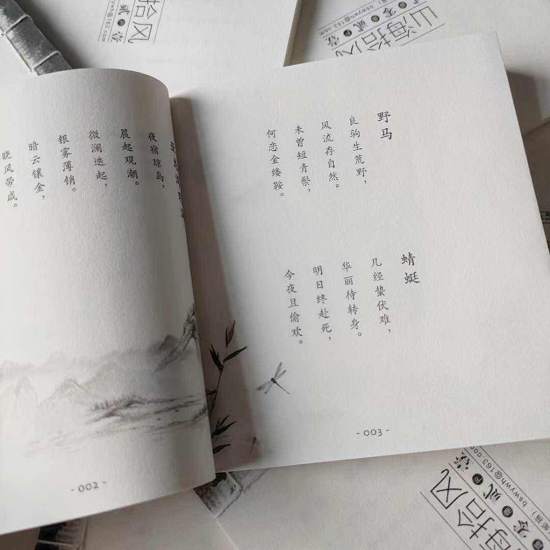 《山海拾风》诗词杂文集（图ZMjYxNzIwNjQ0） - 书籍/画册 - 站酷设计师鱼儿咕嘟嘟原创素材 - 站酷ZCOOL