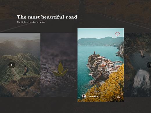 原创网页设计——城市/动物