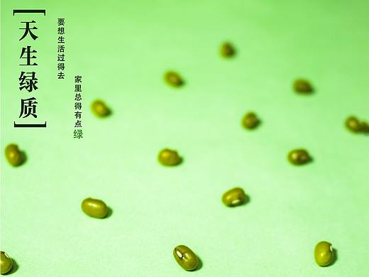 海报（个人主页-ZMzQwMDIzMDQ=） - 海报 - 站酷设计师达达卢原创素材 - 站酷ZCOOL