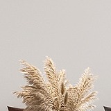 兔牙战士的头像