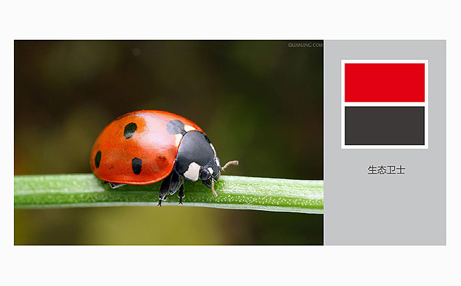 大智然生态农业品牌设计