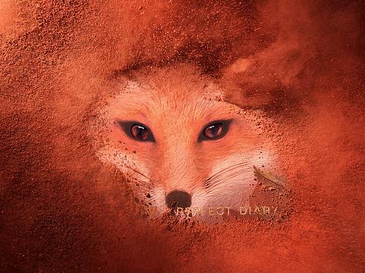 完美日记｜赤狐盘｜产品摄影（个人主页-ZNTgyMjMyNDA=） - 产品摄影 - 站酷设计师Jianyi简一原创素材 - 站酷ZCOOL