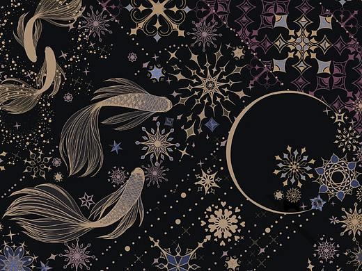 星空的鱼