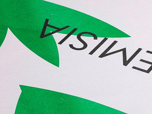 WiZ Clean Beauty | Visual Identity Design