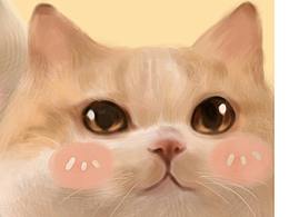 板繪練習(xí)成長(zhǎng)日記