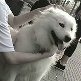 伊月eyueFANS的头像