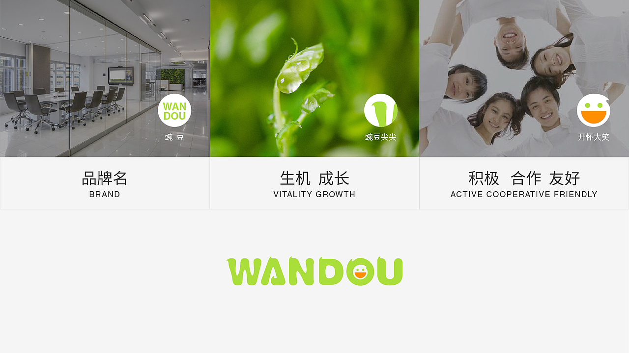 【豌豆尖尖网络】品牌视觉全案升级