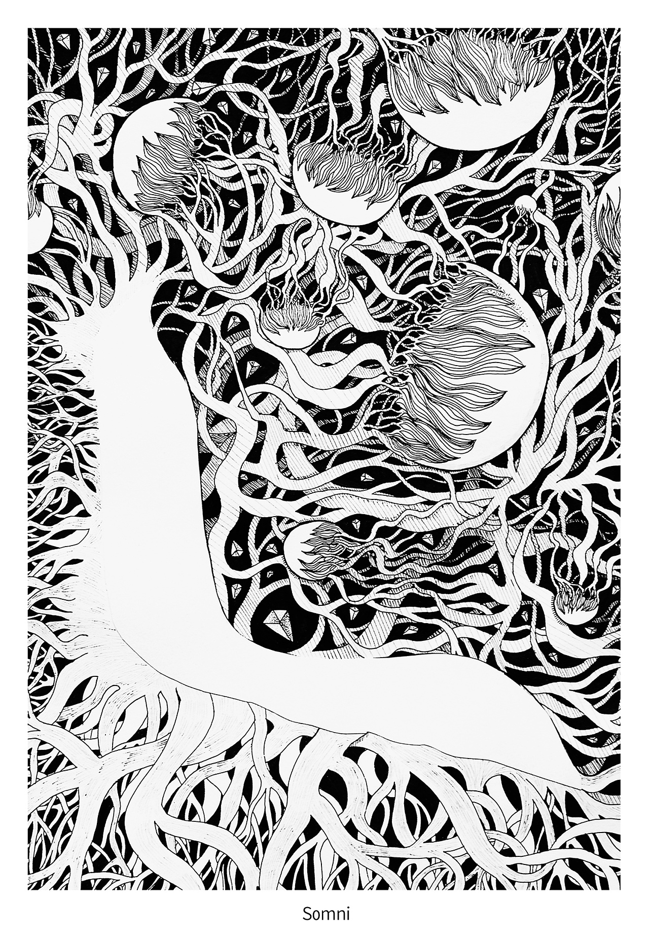 《漫游》六部曲插画