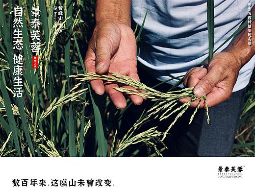 景泰芙蓉优质大米 智峰山稀缺臻选