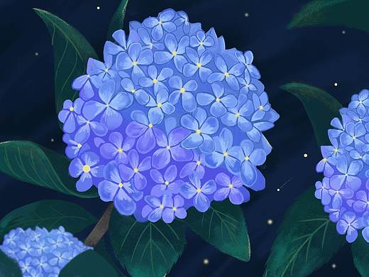 绣球花卉练习（个人主页-ZMzMxMjY2MzI=） - 创作习作 - 站酷设计师zhangabc原创素材 - 站酷ZCOOL