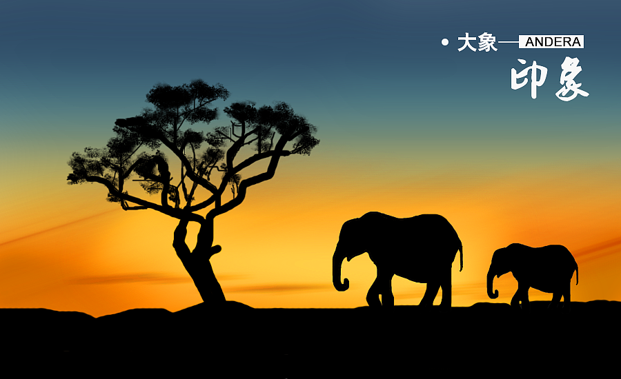 绘画板-首秀大象-印象 长颈鹿 bird（图ZMTI4NTUyNDA=） - 创作习作 - 站酷设计师Andera原创素材 - 站酷ZCOOL