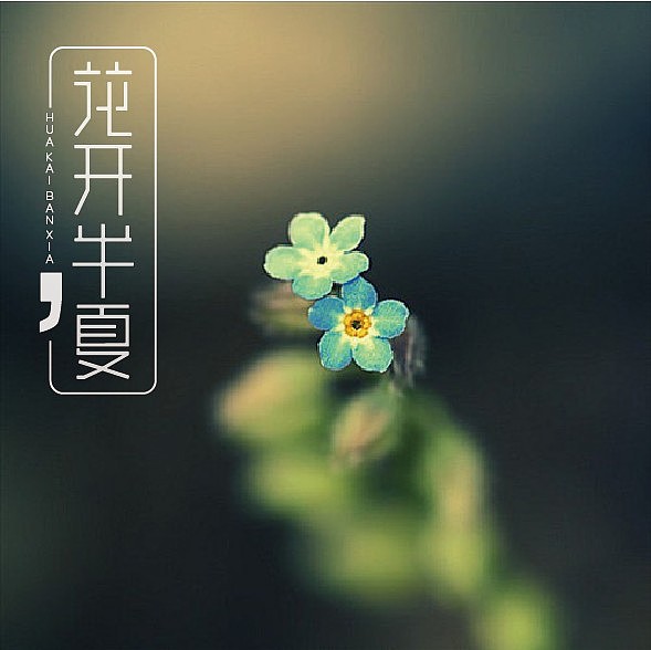 字体设计-花开半夏