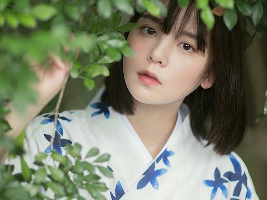 听到了远处的知了声 风声 还有你的呼唤声