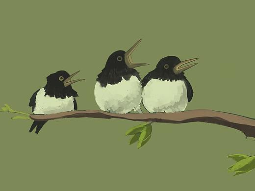 #孤岛岛主##插画# #二十四节气##春分#