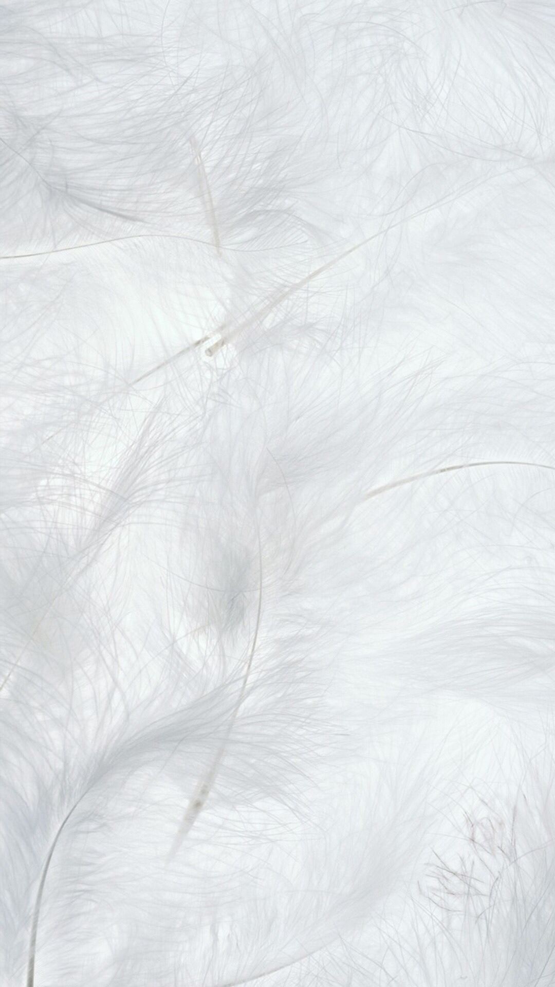 EAMA1的个人主页（封面预览） - 主页封面设置 - 站酷设计师EAMA1原创素材 - 站酷ZCOOL