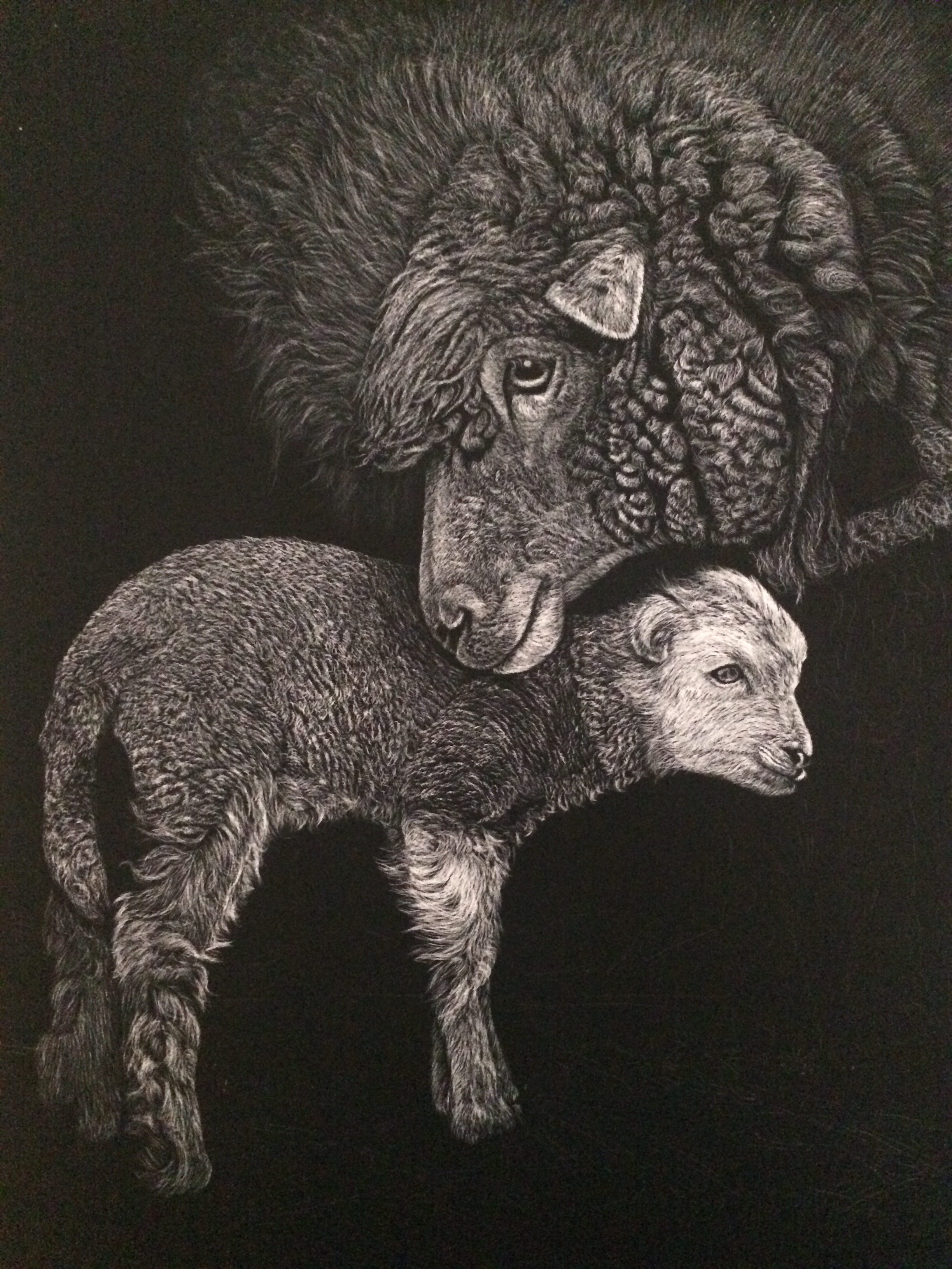 李子哥刮画作品《幸福的羔羊》